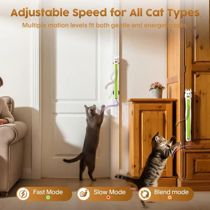 🐱✨Auto Motion Flying Rope Cat Toy — From Lazy to Crazy